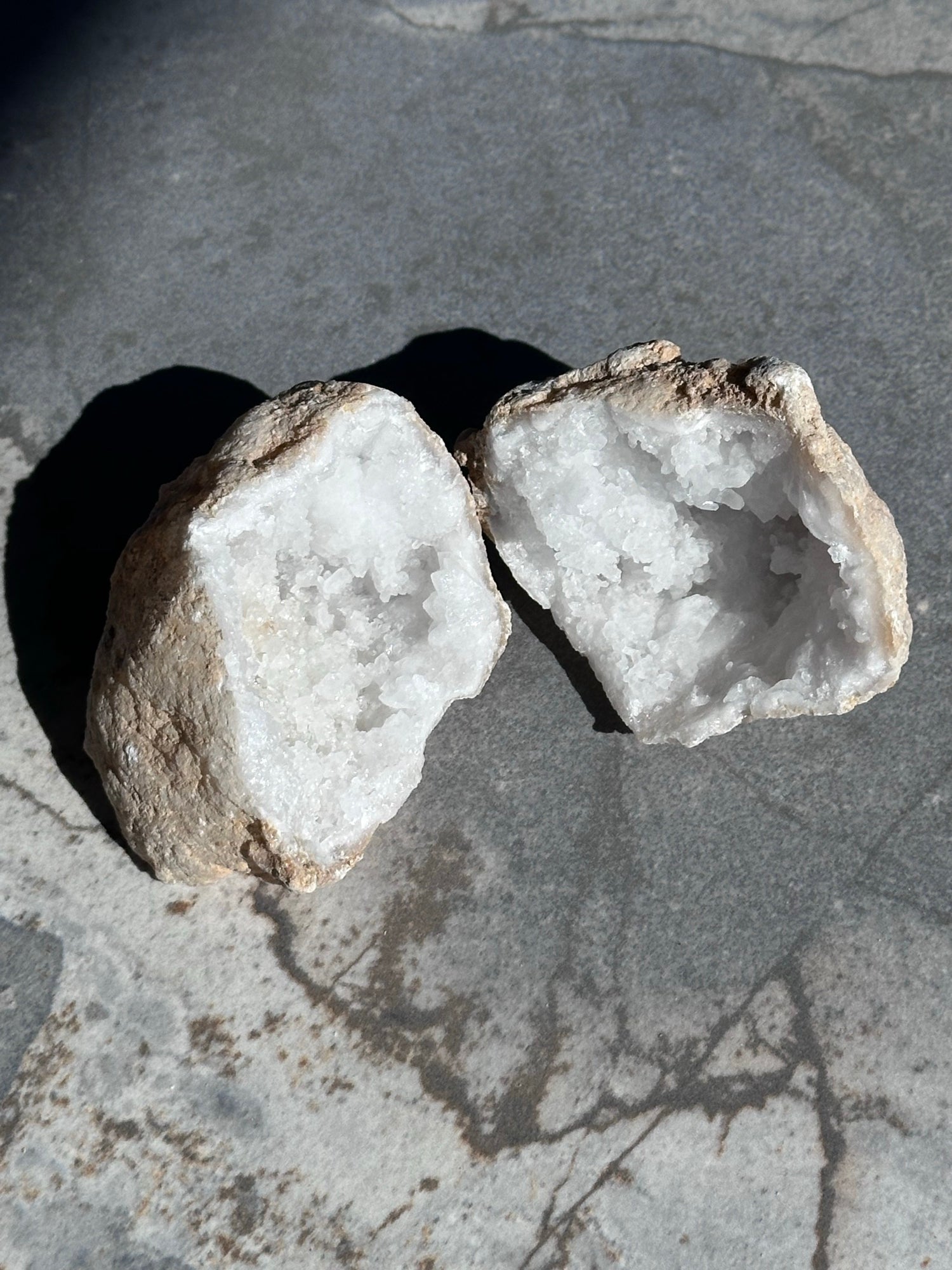 Geodino
