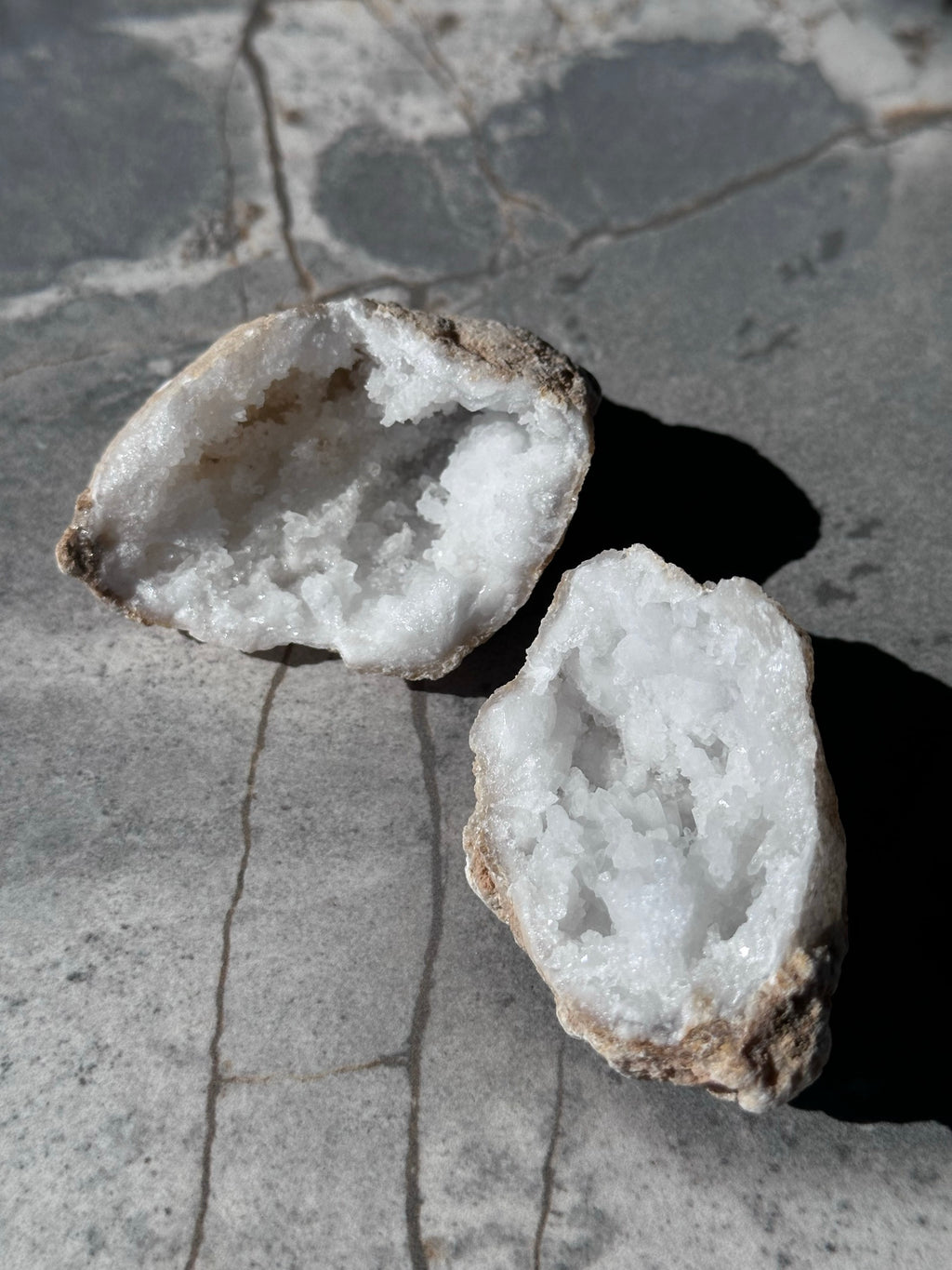 Geodino