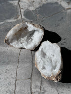 Geodino