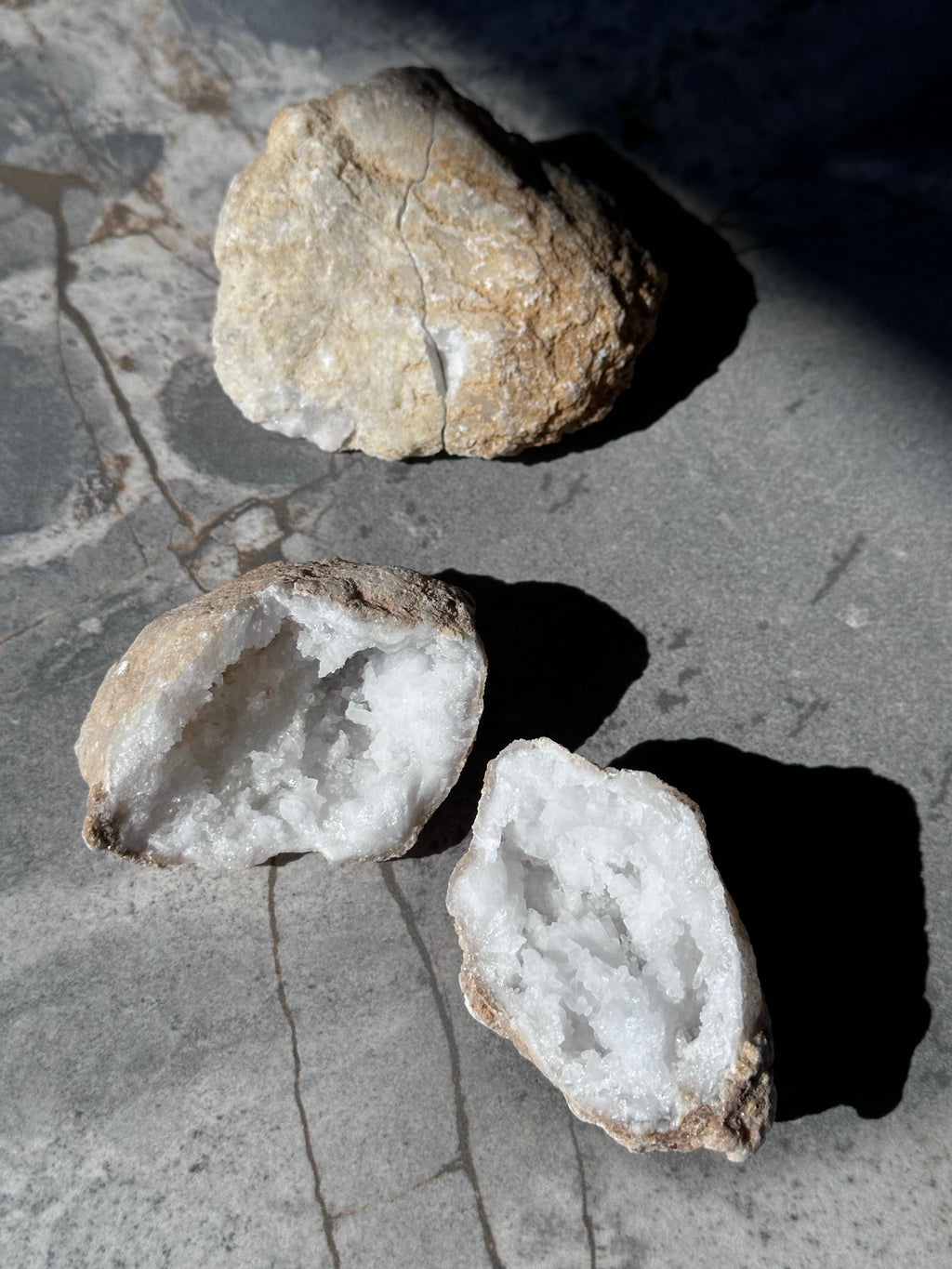 Geodino