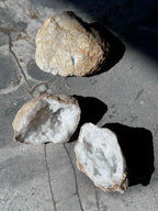 Geodino