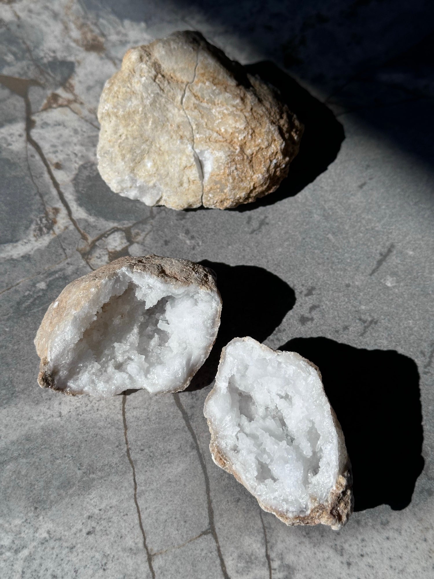 Geodino