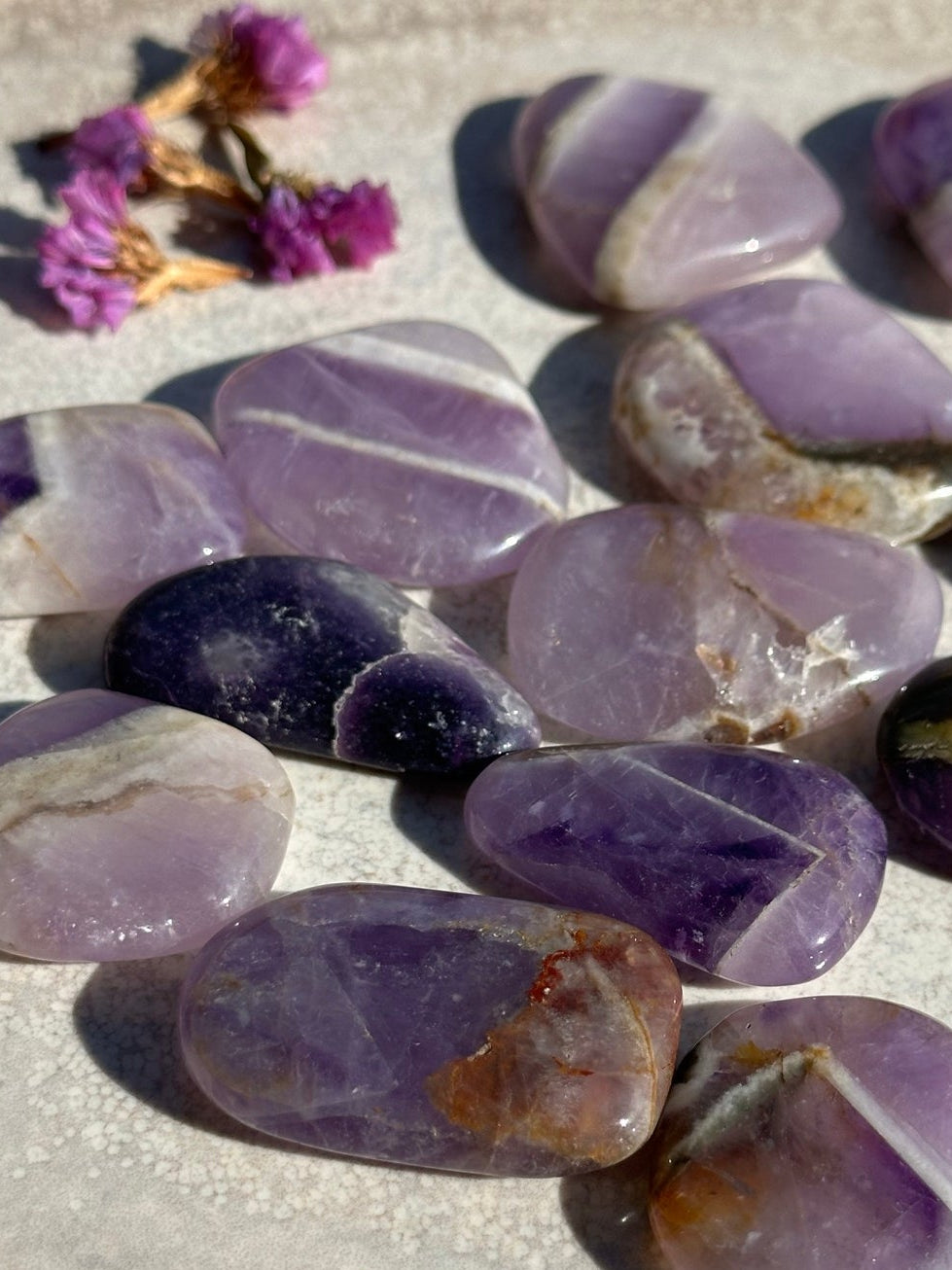 Rodado Plano Amatista