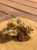 Rosa del Desierto